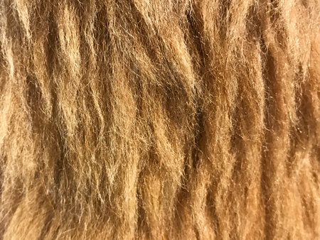Texture of brown and fluffy synthetic fur