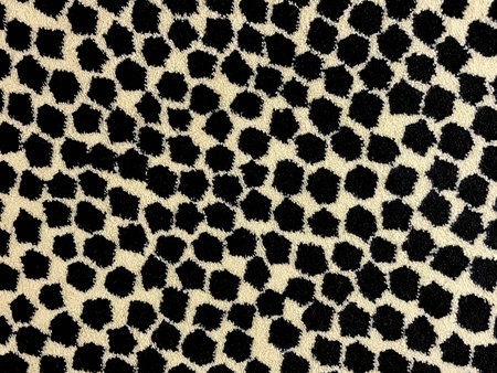 Close up view of black spot carpet