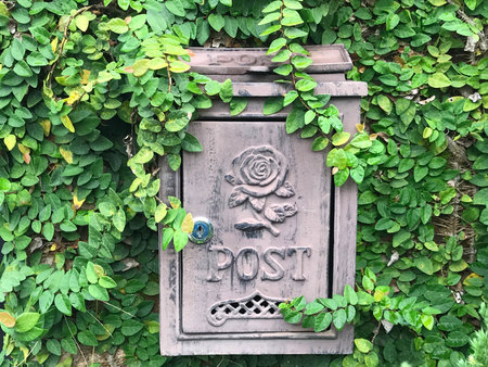 Luxury iron mail box on fresh green creeper wall