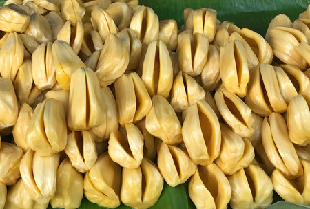 Pile of fresh sweet yellow jack fruit on green banana leaf, traditional asian fruitの写真素材