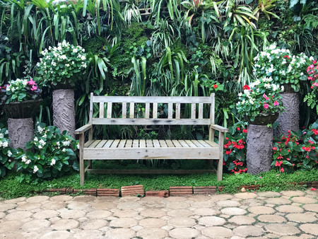 Wooden bench among flower in the garden against creeper wallの写真素材