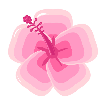 Beautiful pink tropical flowerのイラスト素材