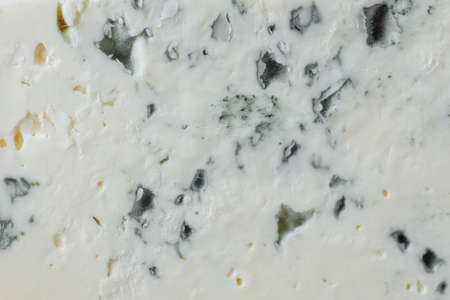 Close-up of a cheese plate. 4 types of cheese, soft white brie cheese, camembert, semi-soft briques, blue, roquefort, hard cheese. Walnuts, green grapes. Beautiful serve. restaurant.の写真素材