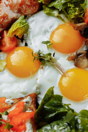 Full English breakfast with toast bread, chicken egg, mustard sauce, champignons, salad mix, cheese cream, sweet pepper.の写真素材