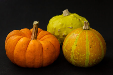 Colorful Toy pumpkins on black background