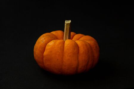 Orange pumpkin on black background, Halloweenの写真素材