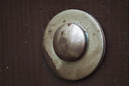 Screw screwed into the wood