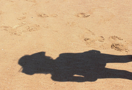 shadow