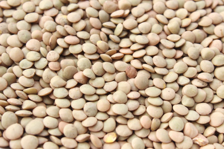 lentilsの写真素材