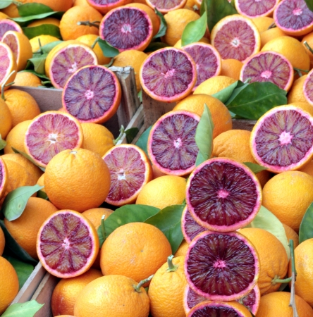 orangeの写真素材