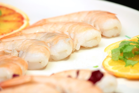 shrimpの写真素材