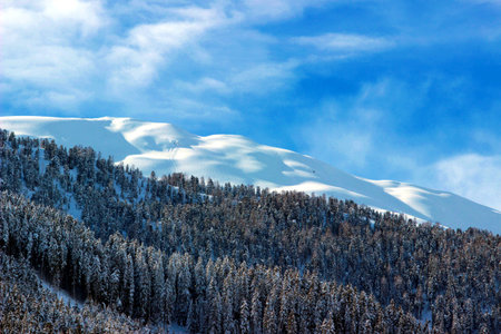 mountains