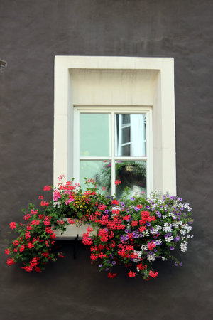 window