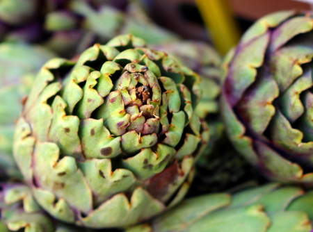 artichokesの写真素材