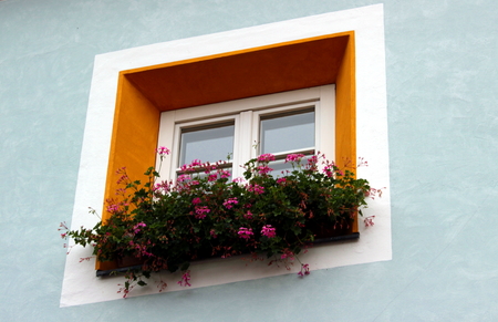 window with flowersの写真素材