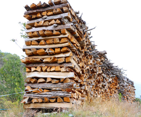 Pile of firewood stacked in a woodpile on the field