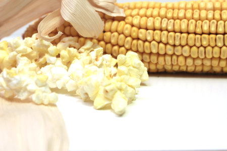 Popcorn and corncob on white background, closeup of photoの写真素材