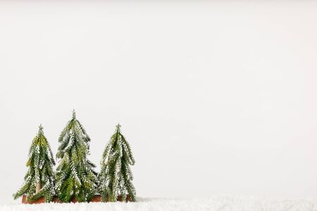 Three Winter Pine Trees on a Simple White Background for Christmas Holidayの写真素材