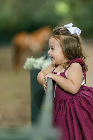 Beautiful two year old girl with a purple dress outside climbing on a green wooden fenceの写真素材