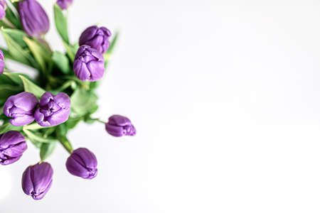 Fresh picked purple tulips in a vase on a solid white surfaceの写真素材