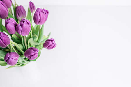 Fresh picked purple tulips near a white panel windowの写真素材