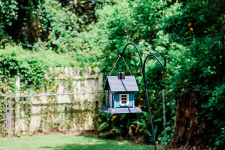 a small blue birdhouse hanging outside in a fenced backyardの写真素材