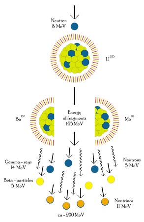 Vector Nuclear fission chain reaction of Uranium Atom Useful for Educational Purposes Scientific Fieldのイラスト素材