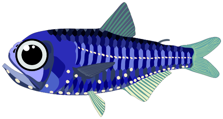 Lantern Fish lives in ocean and under deep blue water life one of sea filterersのイラスト素材