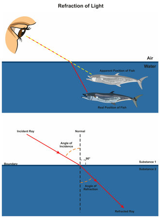 Vector of Refraction of Light - ID:1-87964148 - Royalty Free Image ...