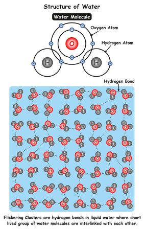 Structure of Water infographic diagram showing molecule of water and ionic bonds between oxygen and hydrogen atoms also microscopic view showing flickering clusters for chemistry science educationのイラスト素材