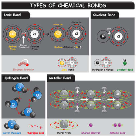 Types of Chemical Bonds Infographic Diagram including ionic covalent hydrogen metallic bonds examples of sodium chloride hydrogen chloride water molecule Aluminum metal for chemistry science educationのイラスト素材