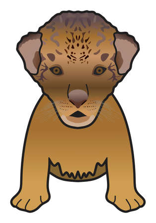newborn lion vector drawing on isolated white background cartoon mammal animal pose character standing walking head face adult male logo icon object illustration savanna wildlife jungle king conceptのイラスト素材