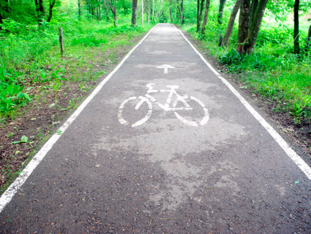 Bike path in the green forest, jogging and cycling tracks.の写真素材