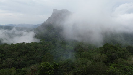Fog on the mountain at Khao Yai National Park, Thailandの写真素材