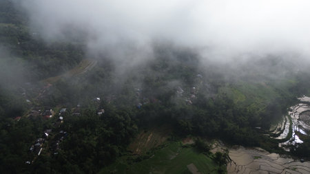 Aerial view of rice field and terraces in rainy season.の写真素材