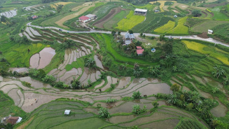 Rice terraces at Mu Cang Chai, YenBai, Vietnamの写真素材