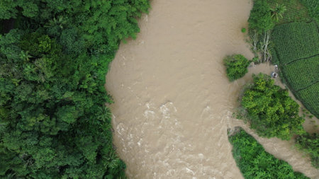 Aerial view of a river flowing through the jungle in Thailand.の写真素材