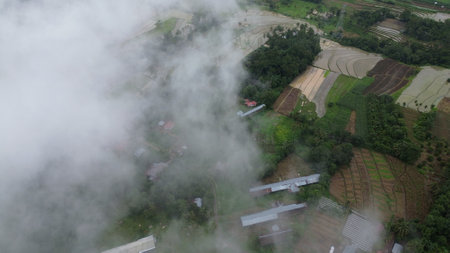 Aerial view of rice paddy field with fog in the morningの写真素材