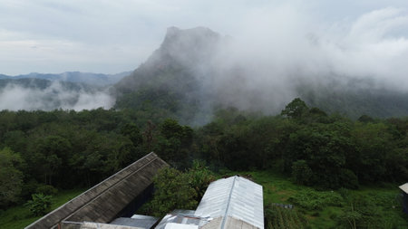 Landscape view of mountain and fog at Phu Chi Fa, Thailandの写真素材