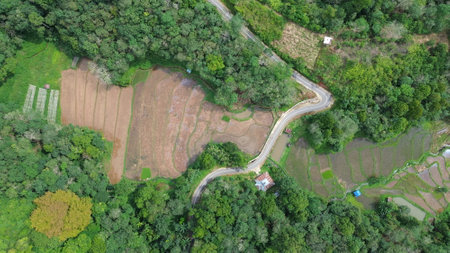 Aerial view of the road in the middle of rice fields.の写真素材