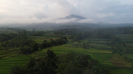 Landscape of rice terraces in Bali island, Indonesia.の写真素材
