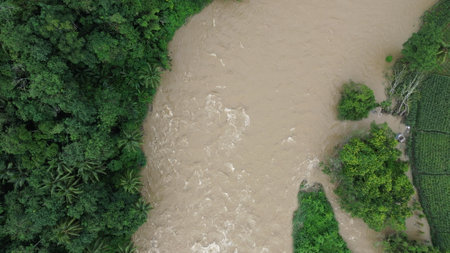 Aerial view of a river flowing through a tropical rainforest.の写真素材