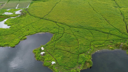 Aerial view of a green rice field in the countryside of Irelandの写真素材