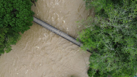 Aerial view of a flooded road in the middle of the jungleの写真素材