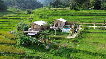 Rice terraces in Maehongson Province, Thailand.のeditorial素材