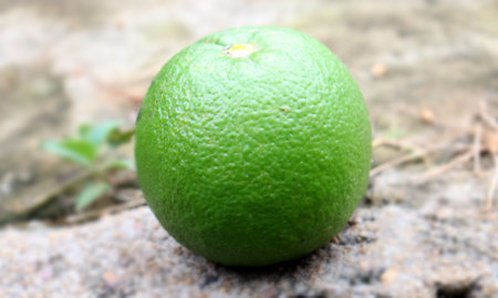 green citrus fruit it is natural healthy fruit in the front view