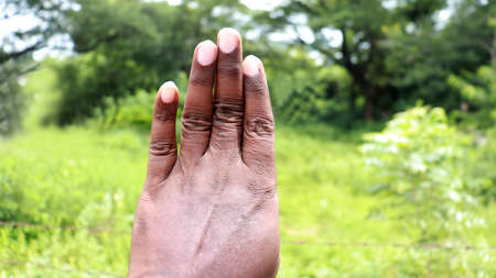 Hand see the back side view finger standing position section in the hand directionの写真素材