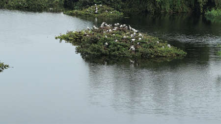 Beautiful green mosaic landscape with some birds and beautiful lake water in theの写真素材