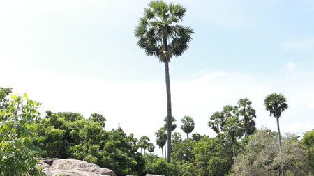 Beautiful scenery and blue skyの写真素材