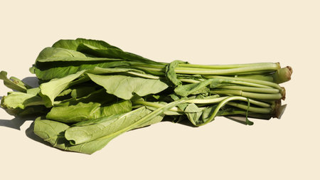 Bunch of green lettuce. With white background